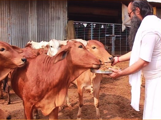 09 08 2024 16 15 05 gauseva opens the door to happiness, fame & fortune (1)