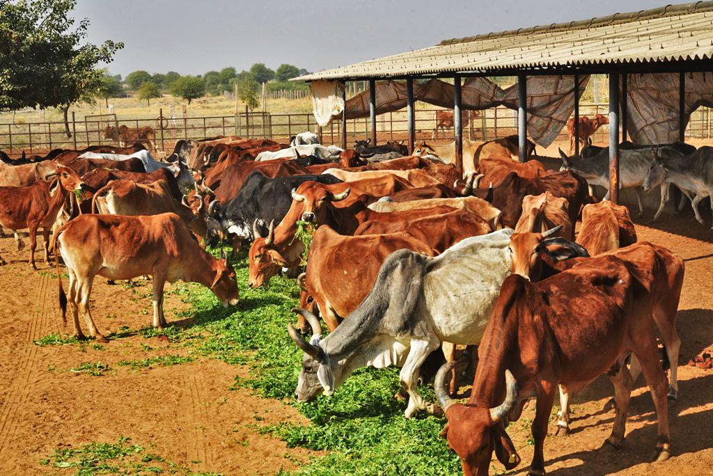 dsc 4150 ihc7pt0qs2wbnt